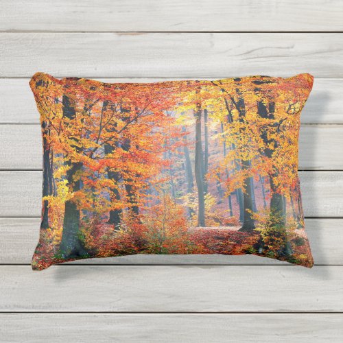 Beautiful colorful autumn forest sunbeams outdoor pillow