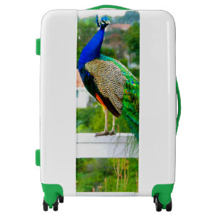 Beautiful Colorful Blue Green Peacock Bold Modern Luggage