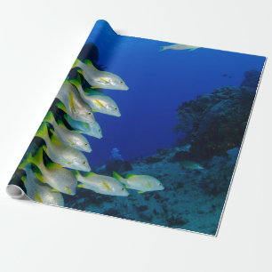 Beautiful Colorful Fishes Best gift for sea life Wrapping Paper