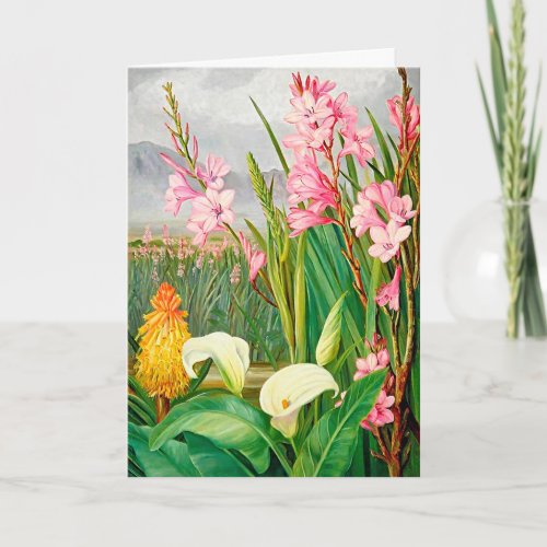 Beautiful Colorful Flowers Blank Note Card