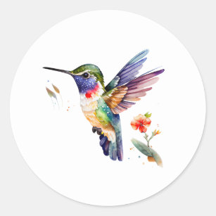 Beautiful colorful hummingbird illustration classic round sticker