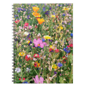 beautiful colorful meadow of wild flowers notebook