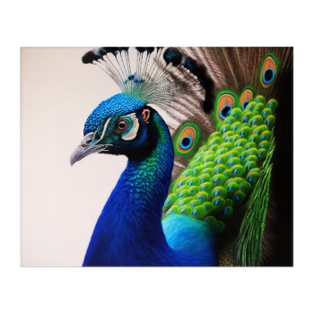 Beautiful Colorful Peacock Peafowl Bird Wildlife Acrylic Print by azlaird at Zazzle