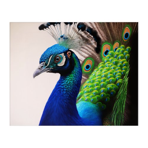 Beautiful Colorful Peacock Peafowl Bird Wildlife Acrylic Print