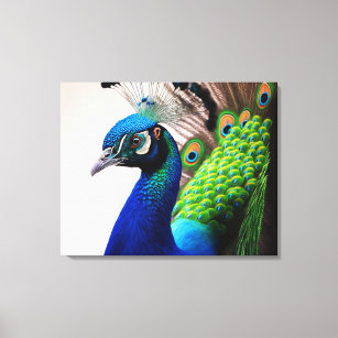 Beautiful Colorful Peacock Peafowl Bird Wildlife Canvas Print