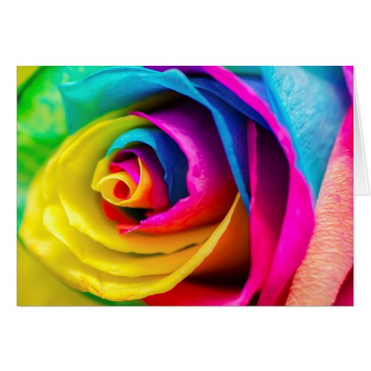 Beautiful Colorful Rainbow Rose Love Poem (Front Horizontal)