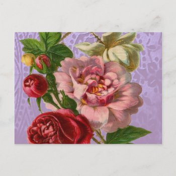 Beautiful Colorful Roses Postcard by LeAnnS123 at Zazzle