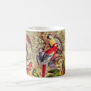Beautiful Colorful Tropical Birds Parrots Coffee Mug
