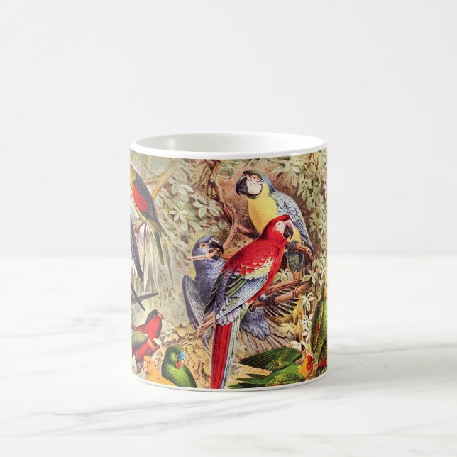 Beautiful Colorful Tropical Birds Parrots  Coffee Mug (Center)
