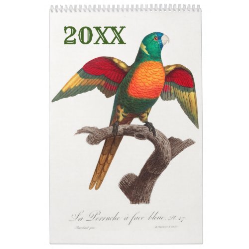 Beautiful Colorful Tropical Parrots Calendar