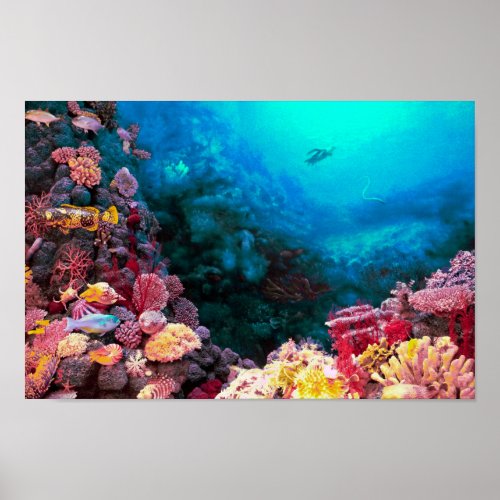 Beautiful Colorful Vibrant Undersea Tropical Coral Poster