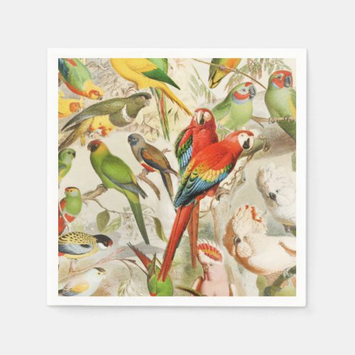 Beautiful Colorful Vintage Tropical Birds Parrots Napkins