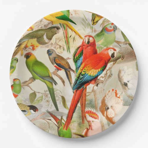 Beautiful Colorful Vintage Tropical Birds Parrots Paper Plates