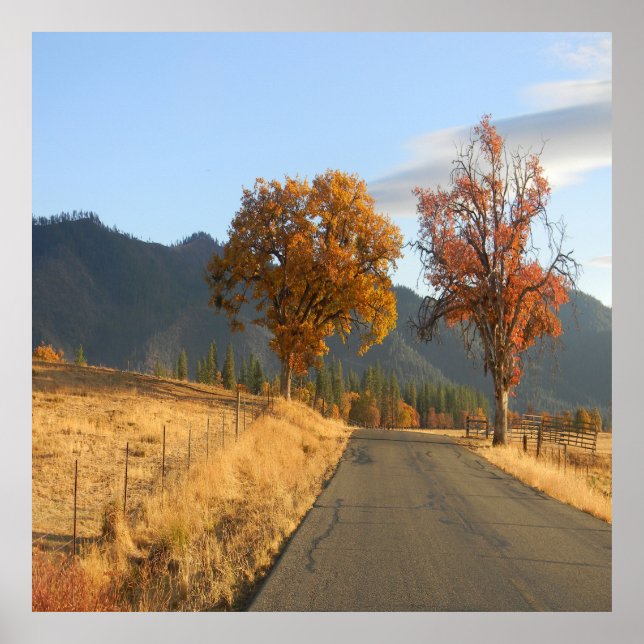 Beautiful colors in Fall... Poster (Front)