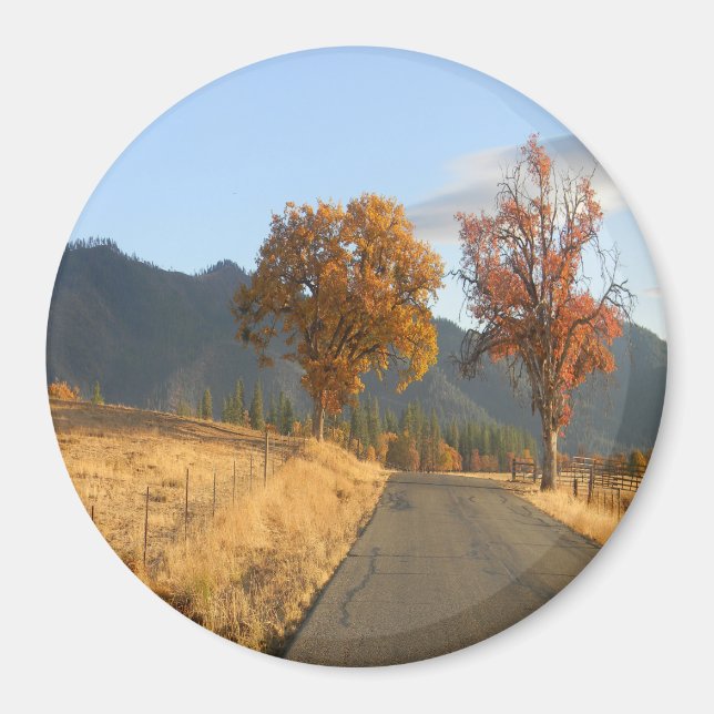 Beautiful colors of Fall.... Magnet (Front)