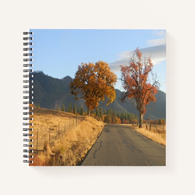 Beautiful colors of Fall.... Notebook (Front)