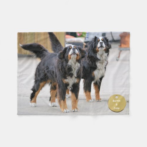 Beautiful colourful close_up Dogs picture Fleece Blanket