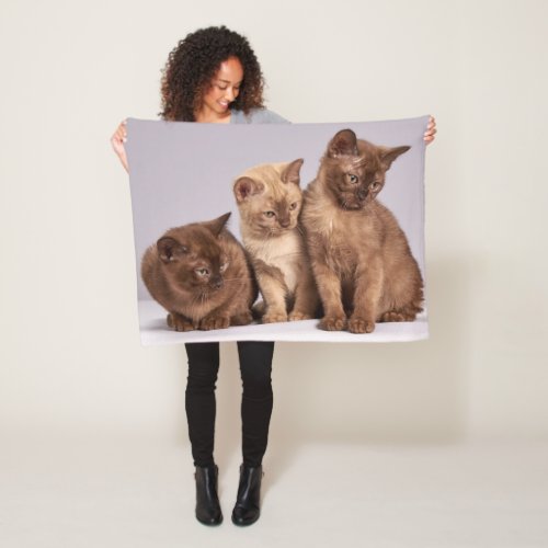 Beautiful colourful close_up Kittens picture Fleece Blanket