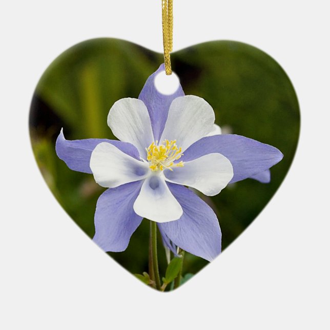 Beautiful Columbine Ceramic Ornament (Front)