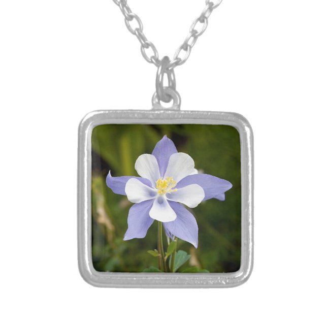 Beautiful Columbine Silver Plated Necklace (Front)