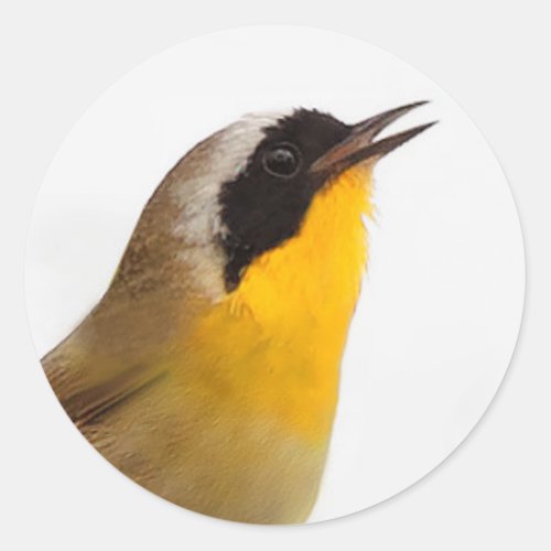 Beautiful Common Yellowthroat Warbler Songbird Classic Round Sticker