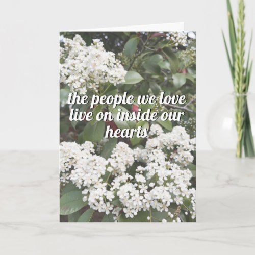 Beautiful Condolence White Flowers Grief Quote Card