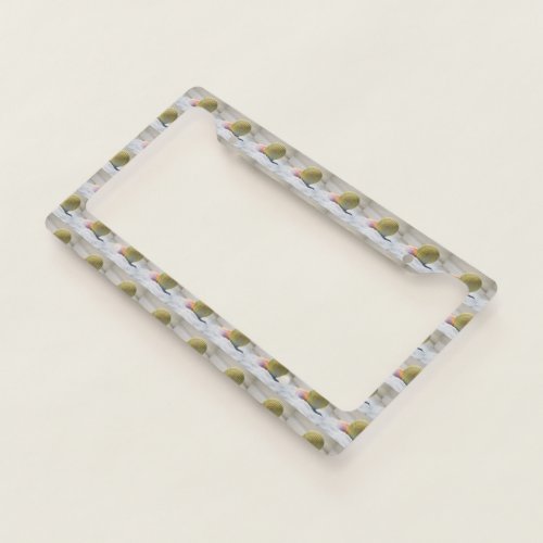 Beautiful Cool Awesome Shell License Plate Frame