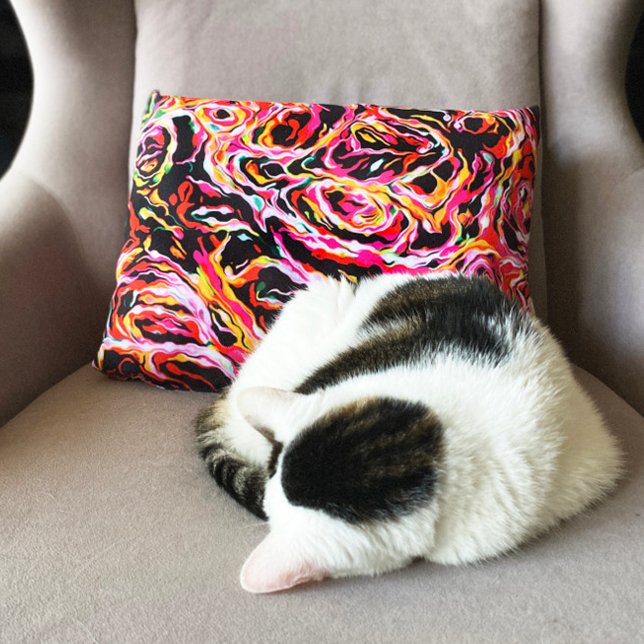 Beautiful Cool Colorful Funky Accent Pillow (Creator Uploaded)