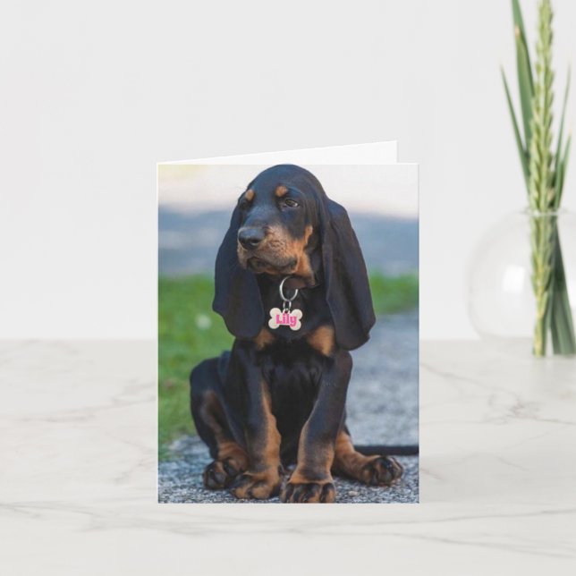 Beautiful Coonhound Any Occasion Card (Front)