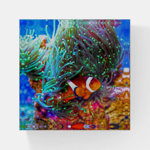 Beautiful Coral Reef with Clown Fish Paperweight