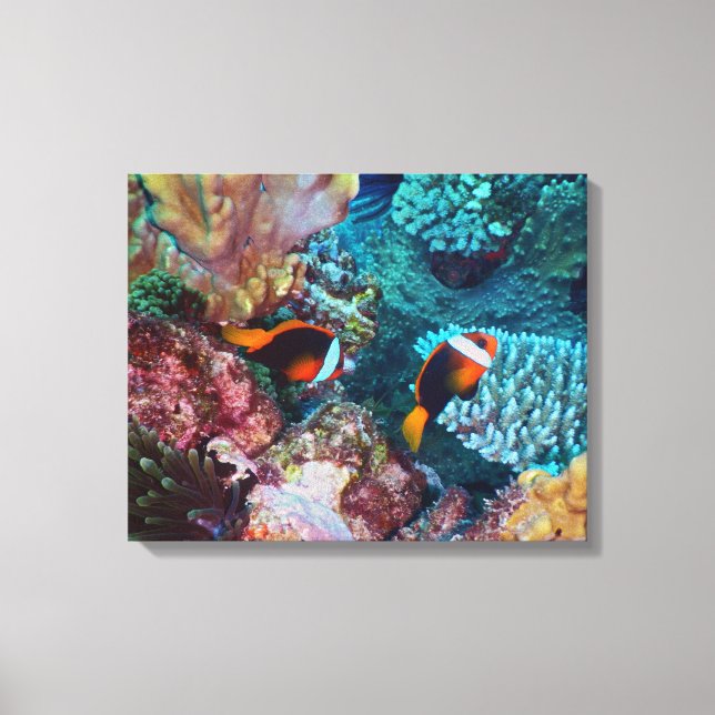 Beautiful Coral Reef with Fish Canvas Print (Front)