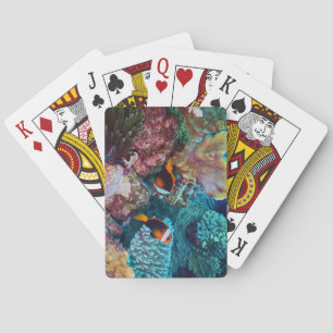 Beautiful Coral Reef with Fish Poker Cards