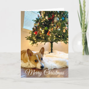 Beautiful Corgi Christmas Tree Photograph Custom Holiday Card