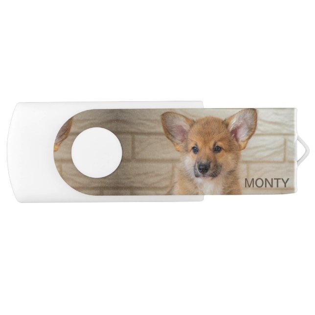 Beautiful Corgi Dog & Editable Name Flash Drive (Front)