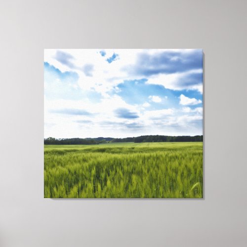 Beautiful Cornfields Canvas Print