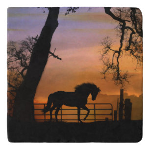 Beautiful Country Horse Trivet
