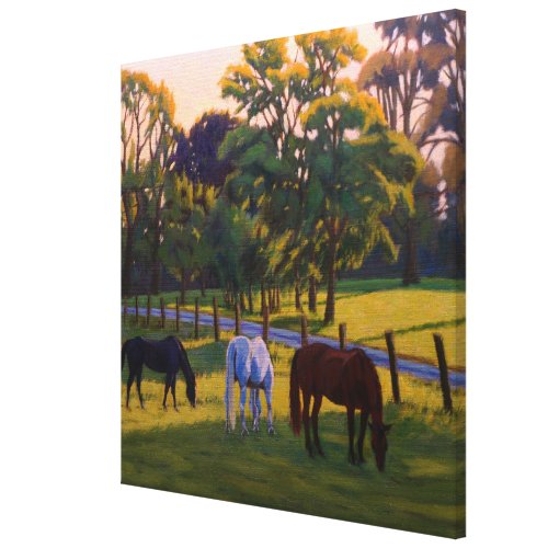 Beautiful Country Horses Grazing  Canvas Print
