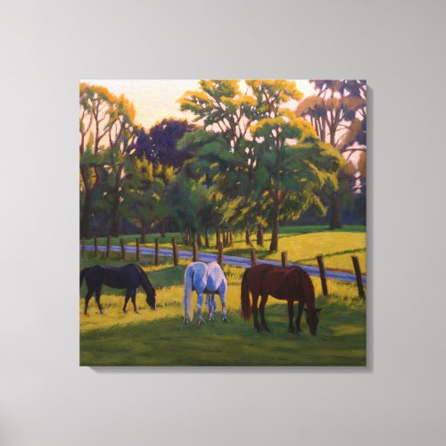 Beautiful Country Horses Grazing  Canvas Print