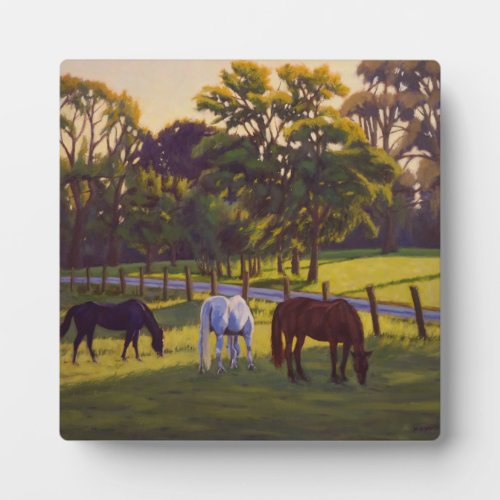 Beautiful Country Horses Grazing  Poster Plaque