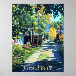 Beautiful Country Lane in Crested Butte Colorado Poster