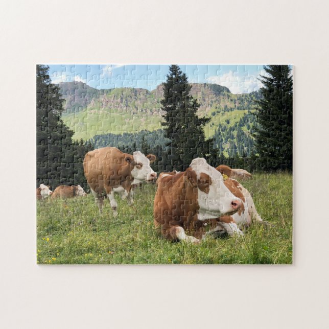 Beautiful Cows at Pasture Nature Photograph Jigsaw Puzzle (Horizontal)