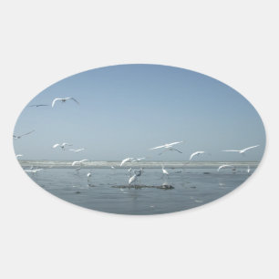 Beautiful Cranes Flying Over Water Nature's Ballet Oval Sticker