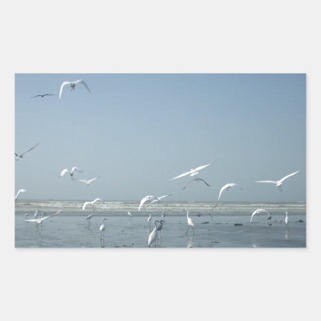 Beautiful Cranes Flying Over Water Nature's Ballet Rectangular Sticker (Front)
