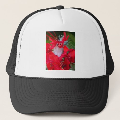Beautiful  Crimson Everyday Sunshine Trucker Hat