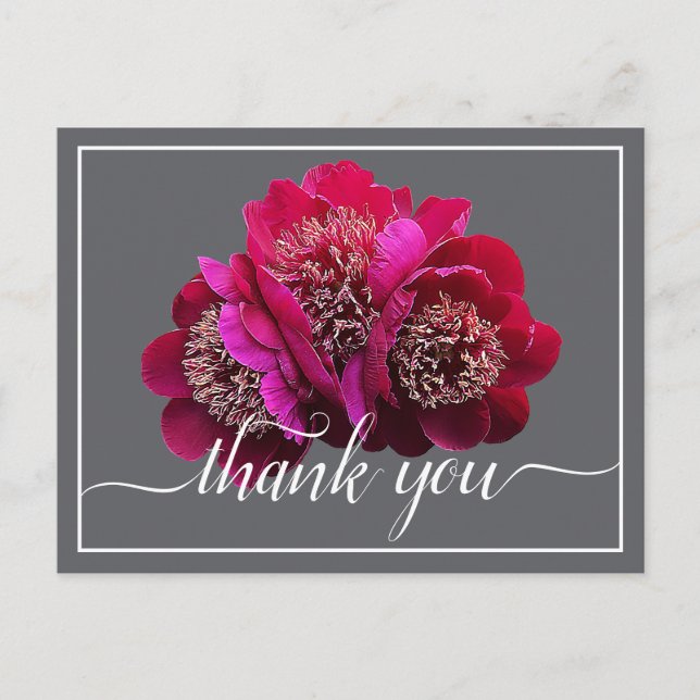 Beautiful Crimson Peonies Color Backdrop Thank You Postcard (Front)