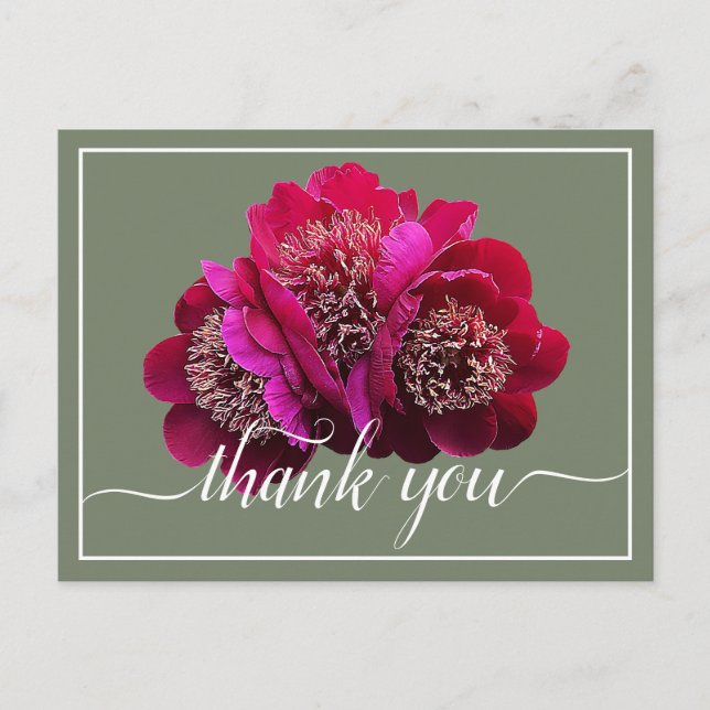 Beautiful Crimson Peonies Color Backdrop Thank You Postcard (Front)