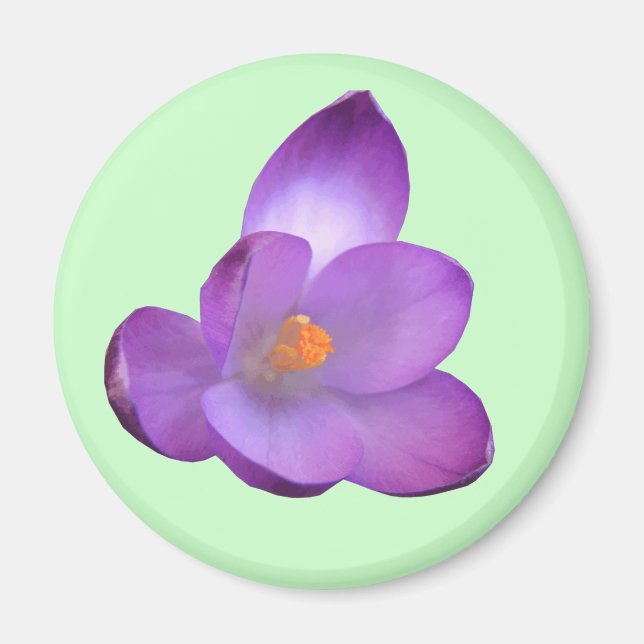 Beautiful Crocus Magnet (Front)