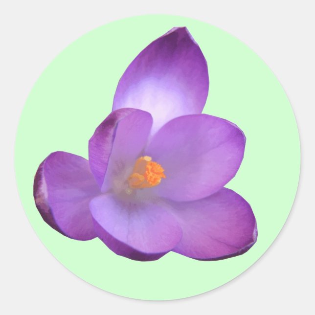 Beautiful Crocus Sticker (Front)