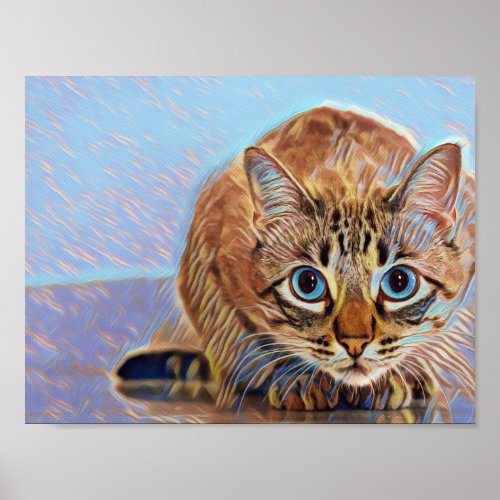 Beautiful cute cat blue eyes  poster