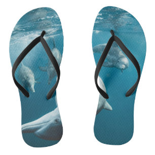Beautiful Cute Dolphins Flip Flops